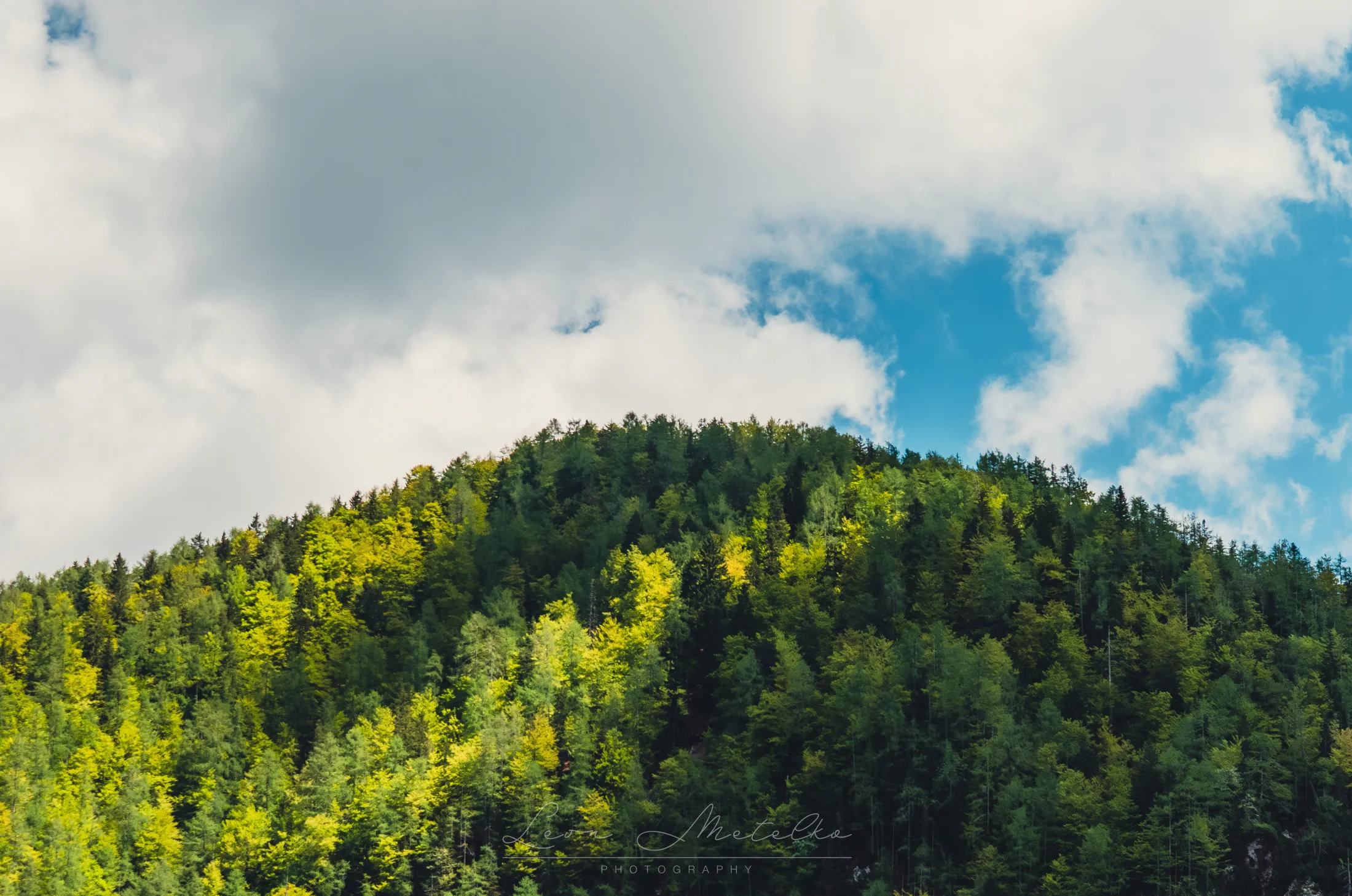 Gorska pokrajina